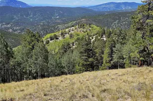 840 Forest Service Rd 890, White Pine, CO 81248 - Photo 15