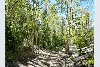 840 Forest Service Road 890, White Pine, CO 81248 - Photo 41