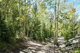 840 Forest Service Rd 890, White Pine, CO 81248 - Photo 41