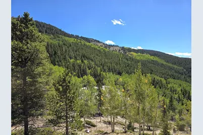 840 Forest Service Road 890, White Pine, CO 81248 - Photo 43
