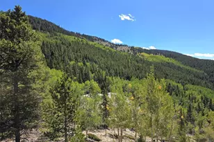 840 Forest Service Rd 890, White Pine, CO 81248 - Photo 43