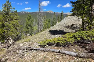 840 Forest Service Rd 890, White Pine, CO 81248 - Photo 9
