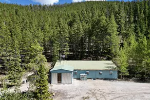 840 Forest Service Rd 890, White Pine, CO 81248 - Photo 3