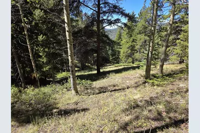 840 Forest Service Road 890, White Pine, CO 81248 - Photo 21