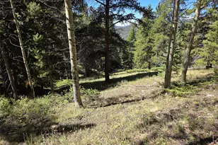 840 Forest Service Rd 890, White Pine, CO 81248 - Photo 21