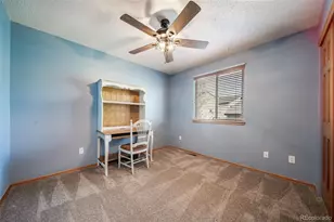 11217 Vilas St, Parker, CO 80134 - Photo 27
