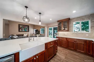 11217 Vilas St, Parker, CO 80134 - Photo 17