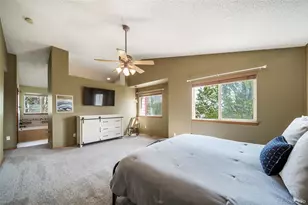 11217 Vilas St, Parker, CO 80134 - Photo 21