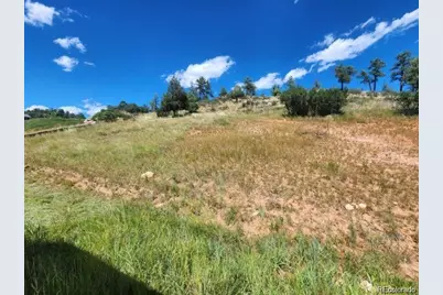 4251 Mohawk Drive, Larkspur, CO 80118 - Photo 5