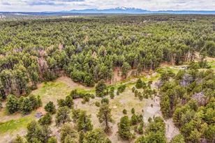 10655 Hardy Rd, Colorado Springs, CO 80908 - Photo 1