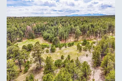 10655 Hardy Road, Colorado Springs, CO 80908 - Photo 3