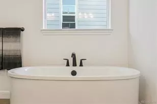 264 Kitselman Dr, Castle Rock, CO 80104 - Photo 25