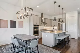 264 Kitselman Dr, Castle Rock, CO 80104 - Photo 13