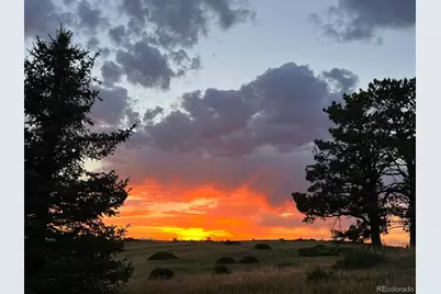 6987 Ashley Court, Parker, CO 80134 - Photo 47