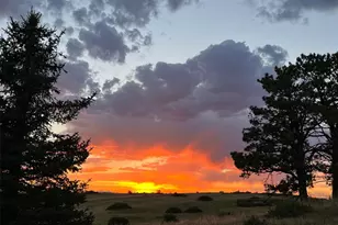 6987 Ashley Ct, Parker, CO 80134 - Photo 47