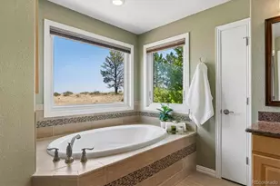 6987 Ashley Ct, Parker, CO 80134 - Photo 21