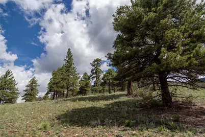 780 Cliff View Drive, Creede, CO 81130 - Photo 5