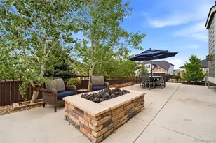 2849 Rising Moon Way, Castle Rock, CO 80109 - Photo 39