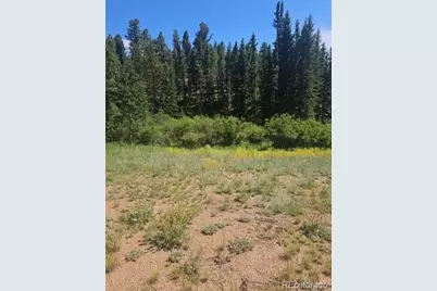 1164 Arapahoe Creek Trail, Florissant, CO 80816 - Photo 7
