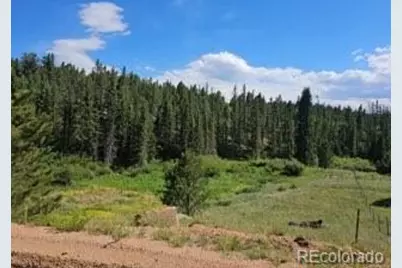 1164 Arapahoe Creek Trail, Florissant, CO 80816 - Photo 3