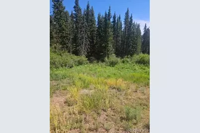 1164 Arapahoe Creek Trail, Florissant, CO 80816 - Photo 9