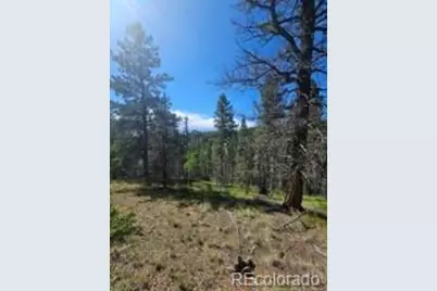 1164 Arapahoe Creek Trail, Florissant, CO 80816 - Photo 23