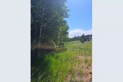 1164 Arapahoe Creek Trail, Florissant, CO 80816 - Photo 29