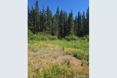 1164 Arapahoe Creek Trail, Florissant, CO 80816 - Photo 5