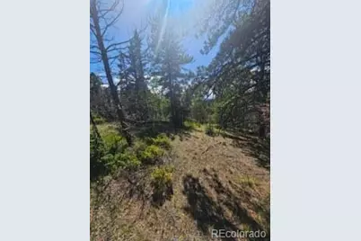 1164 Arapahoe Creek Trail, Florissant, CO 80816 - Photo 21