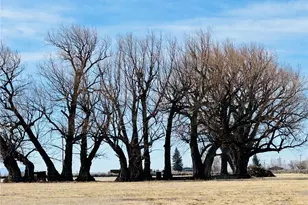 1686 State Hwy 15, Monte Vista, CO 81144 - Photo 25