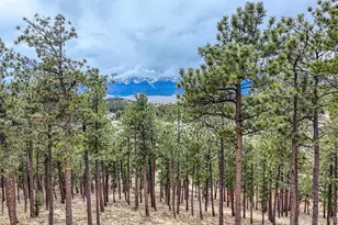 Lot 43 S Ben Eaton Ln, Westcliffe, CO 81252 - Photo 1