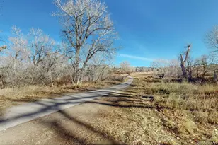 9195 Sugarstone Cir, Highlands Ranch, CO 80130 - Photo 33