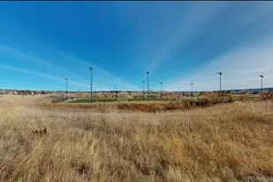 9195 Sugarstone Cir, Highlands Ranch, CO 80130 - Photo 29