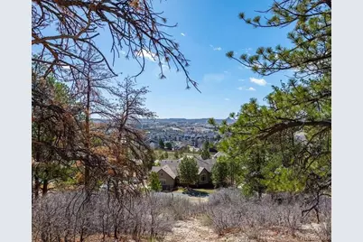 655 Ruby Trust Drive, Castle Rock, CO 80108 - Photo 21