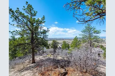 655 Ruby Trust Drive, Castle Rock, CO 80108 - Photo 19