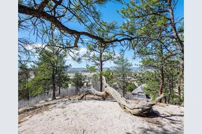 655 Ruby Trust Drive, Castle Rock, CO 80108 - Photo 17
