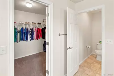3064 Trailblazer Way, Castle Rock, CO 80109 - Photo 23