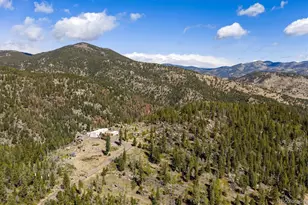 263 Barrows Ranch Rd, Evergreen, CO 80439 - Photo 43
