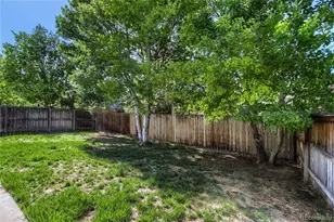 654 Foxtail Way, Windsor, CO 80550 - Photo 25