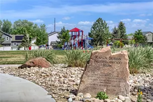 654 Foxtail Way, Windsor, CO 80550 - Photo 29