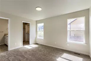 654 Foxtail Way, Windsor, CO 80550 - Photo 13