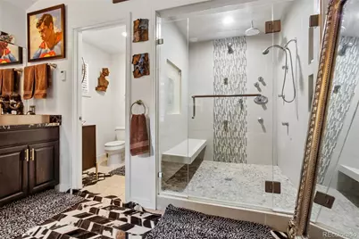 925 N Emerson Street, Denver, CO 80218 - Photo 21
