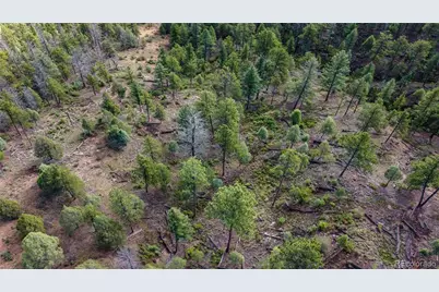 Tbd Cathedral Trail, Conifer, CO 80433 - Photo 21