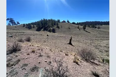 260 Saddle Trail, Hartsel, CO 80449 - Photo 15