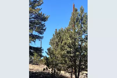 260 Saddle Trail, Hartsel, CO 80449 - Photo 17