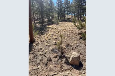 260 Saddle Trail, Hartsel, CO 80449 - Photo 13