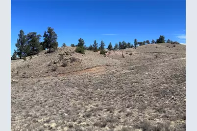 260 Saddle Trail, Hartsel, CO 80449 - Photo 11