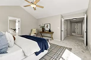 9815 Spring Hill St, Highlands Ranch, CO 80129 - Photo 29