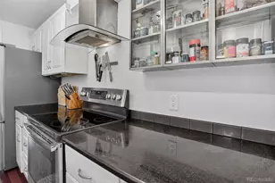 1313 Steele St, Denver, CO 80206 - Photo 11
