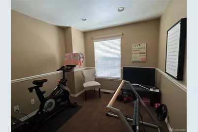 896 Ironspur Court, Castle Rock, CO 80108 - Photo 29